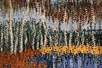 Autumn Motif with Purvitis